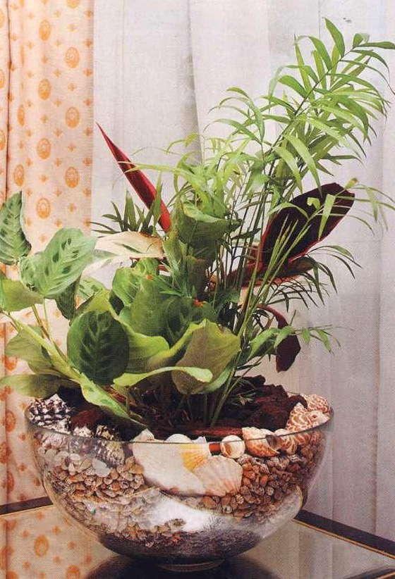 Стеклянные горшки для растений. Композиции в стеклянных вазах, емкости длякомнатных цветов. : Домашние секреты